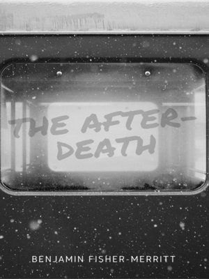 cover image of The After-Death